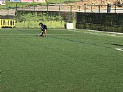 Ampliar Imaxe...